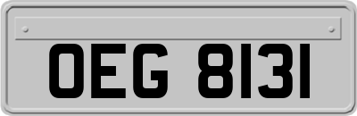 OEG8131