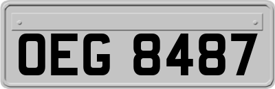 OEG8487