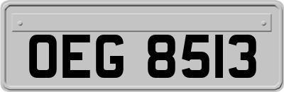 OEG8513