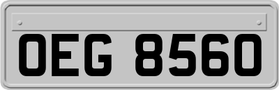 OEG8560