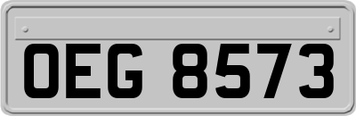 OEG8573
