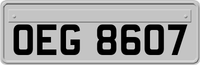 OEG8607