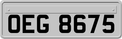 OEG8675