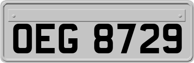 OEG8729