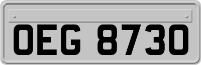 OEG8730