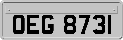 OEG8731