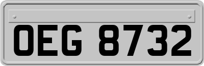 OEG8732