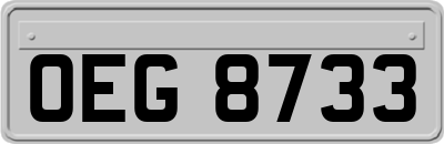 OEG8733
