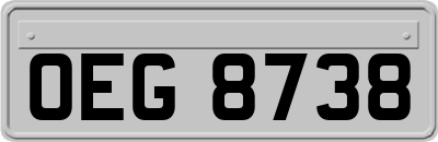 OEG8738