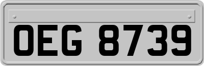 OEG8739