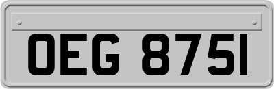 OEG8751