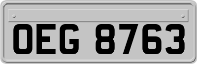 OEG8763
