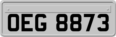 OEG8873