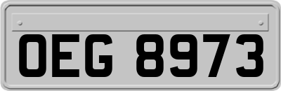 OEG8973