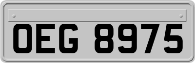 OEG8975