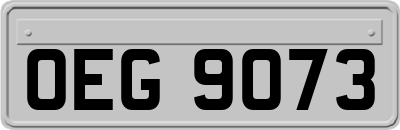 OEG9073