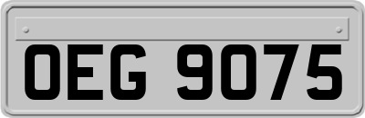 OEG9075