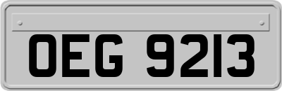 OEG9213
