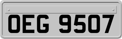 OEG9507