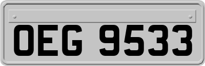 OEG9533
