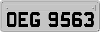 OEG9563