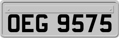 OEG9575