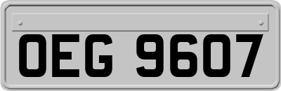 OEG9607