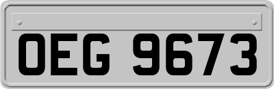 OEG9673