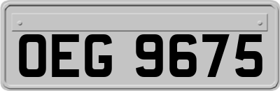 OEG9675