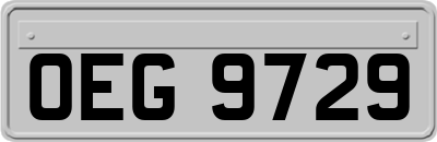 OEG9729