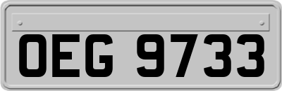 OEG9733