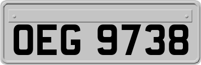 OEG9738