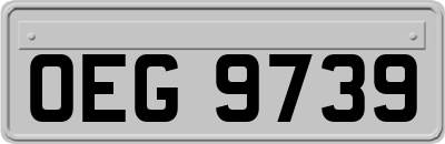 OEG9739