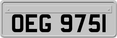 OEG9751