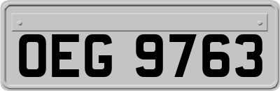 OEG9763