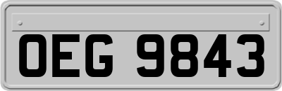 OEG9843