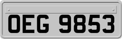 OEG9853