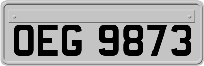 OEG9873
