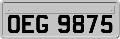 OEG9875