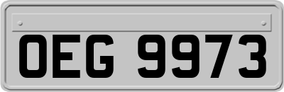 OEG9973