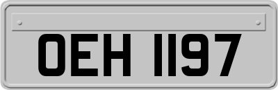 OEH1197