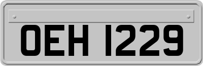 OEH1229