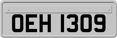OEH1309