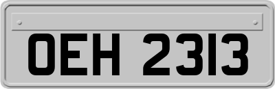 OEH2313