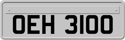 OEH3100