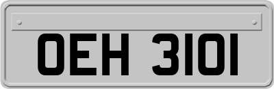 OEH3101