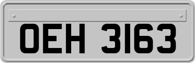 OEH3163