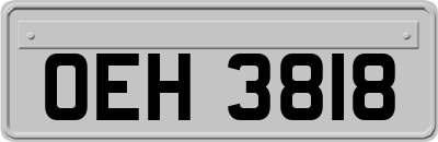 OEH3818