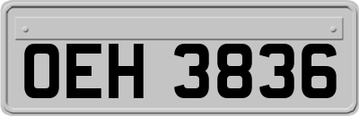 OEH3836