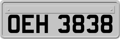 OEH3838